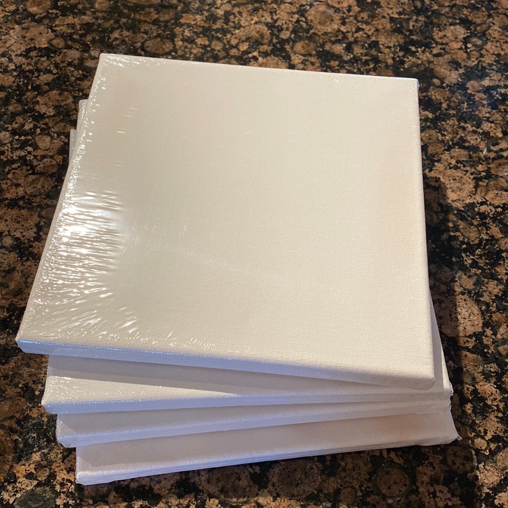10X10 white blank canvas